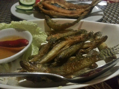 seafood restaurant ilocos